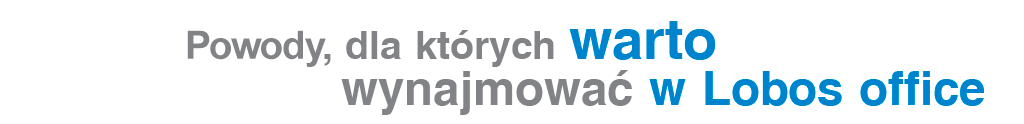 nieruchomosci lobos office